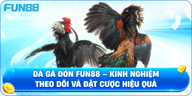 Đá Gà Đòn Fun88 – Kinh Nghiệm Theo Dõi Và Đặt Cược Hiệu Quả