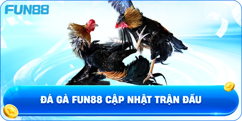 Đá Gà Fun88 Cập Nhật Trận Đấu