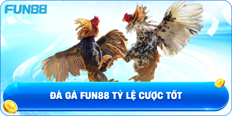 Đá Gà Fun88 Tỷ Lệ Cược Tốt