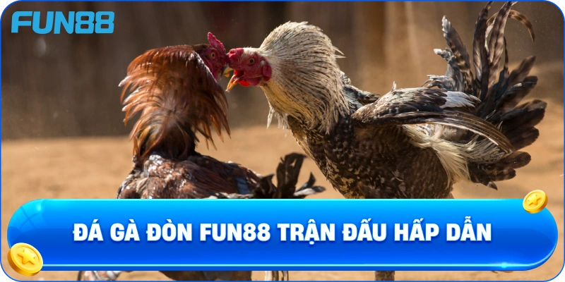 Đá gà đòn fun88 trận đấu hấp dẫn
